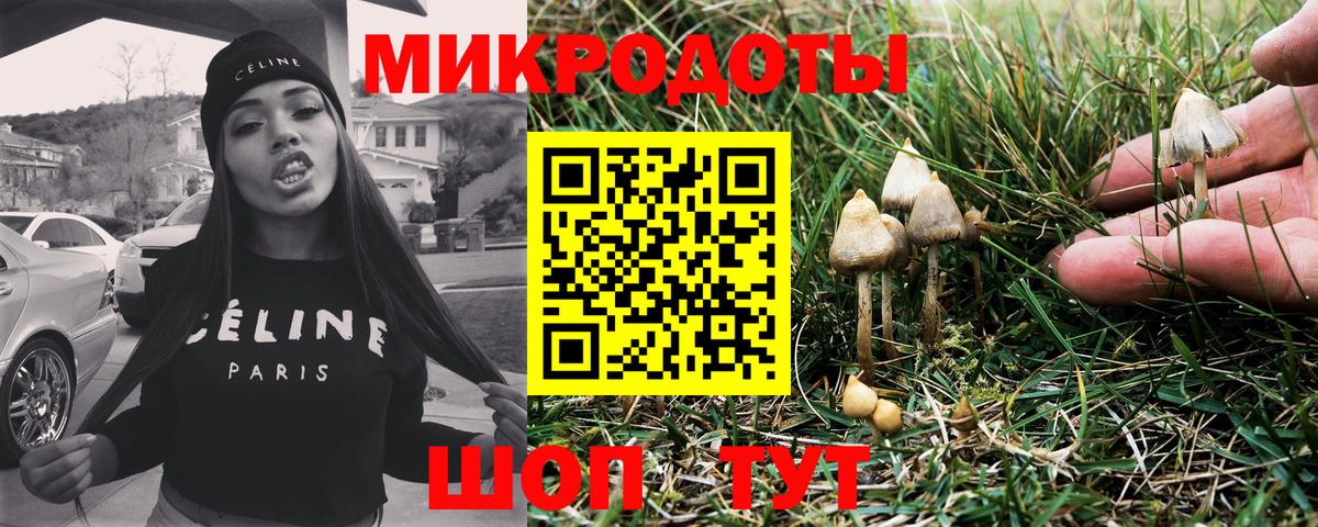 Тайшет  Галлюциногенные грибы MAGIC MUSHROOMS  дарнет шоп  Вход с VPN  Галлюциногенные грибы мицелий 